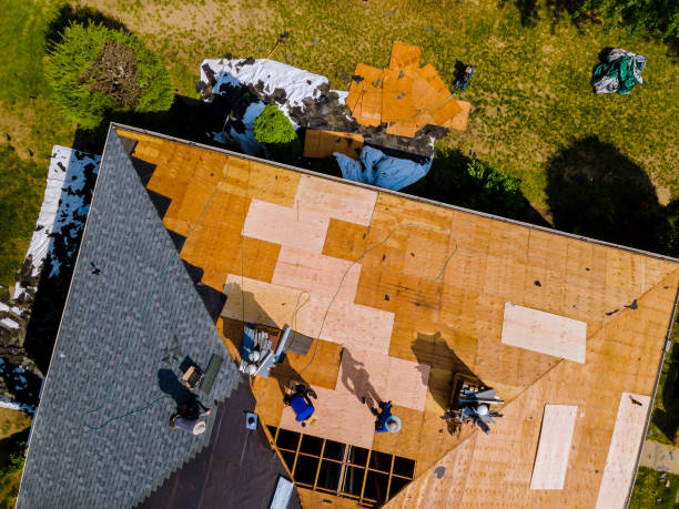 Quick and Trustworthy Emergency Roof Repair Services in Fern Acres, HI