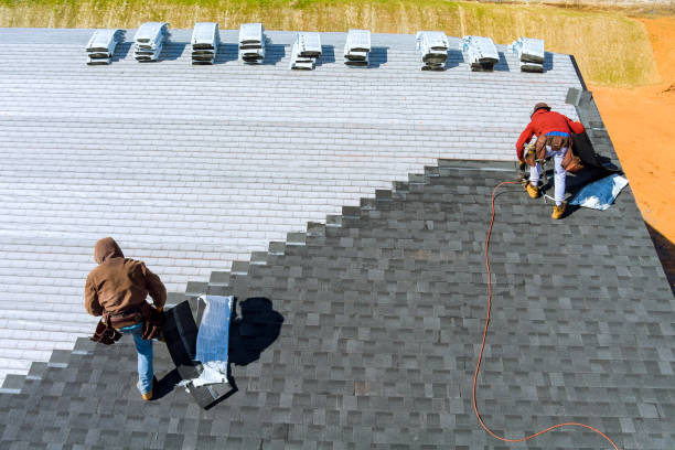 Best Roof Leak Repair  in Fern Acres, HI