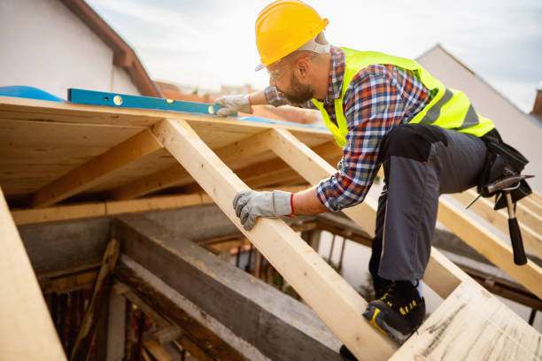 Best Roof Gutter Cleaning  in Fern Acres, HI