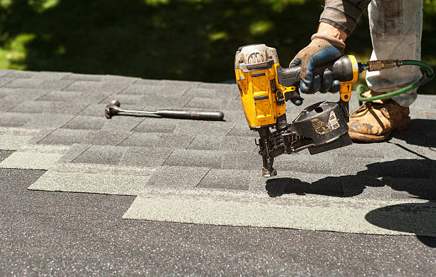 Best Roof Gutter Cleaning  in Fern Acres, HI