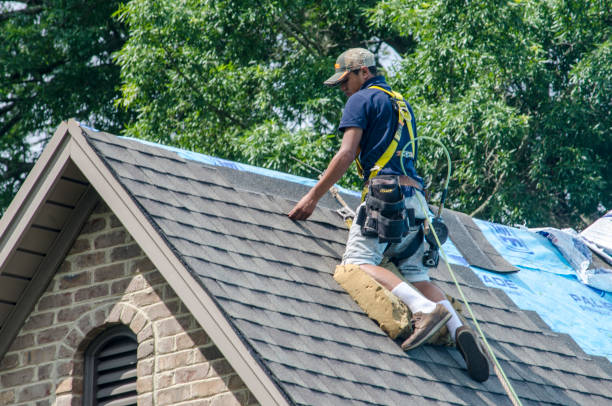 Best New Roof Installation  in Fern Acres, HI